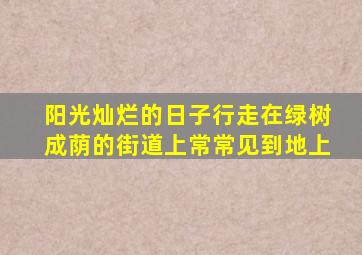 阳光灿烂的日子行走在绿树成荫的街道上常常见到地上