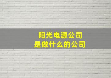 阳光电源公司是做什么的公司