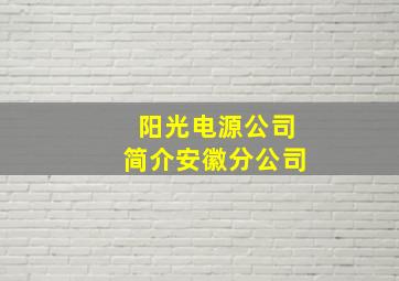 阳光电源公司简介安徽分公司