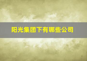 阳光集团下有哪些公司