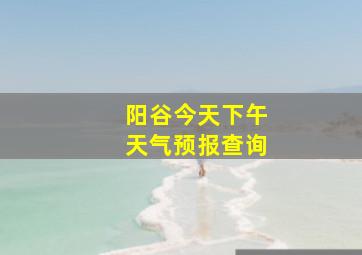 阳谷今天下午天气预报查询