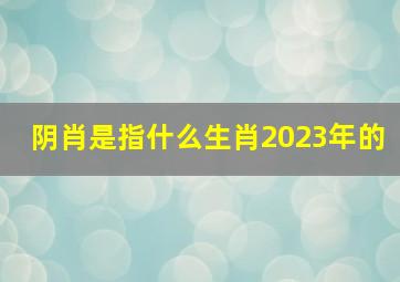 阴肖是指什么生肖2023年的