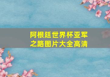 阿根廷世界杯亚军之路图片大全高清