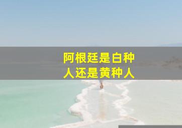 阿根廷是白种人还是黄种人