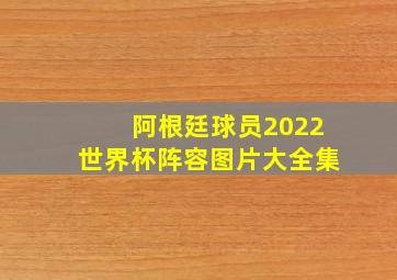 阿根廷球员2022世界杯阵容图片大全集