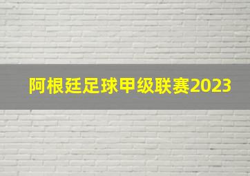 阿根廷足球甲级联赛2023