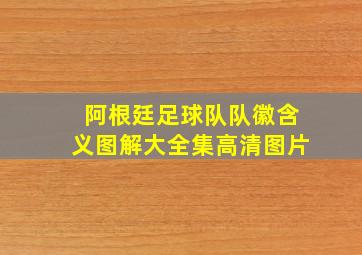 阿根廷足球队队徽含义图解大全集高清图片