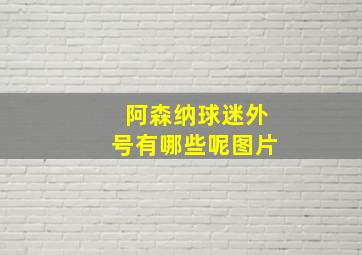 阿森纳球迷外号有哪些呢图片