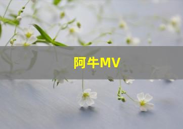 阿牛MV