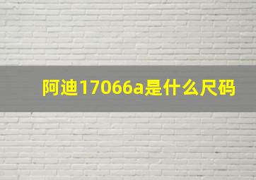 阿迪17066a是什么尺码