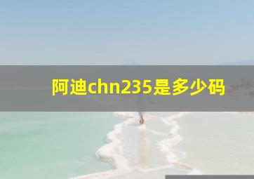 阿迪chn235是多少码