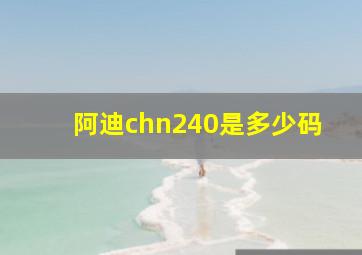 阿迪chn240是多少码