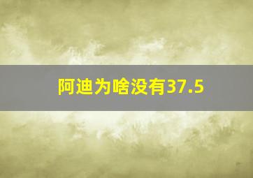 阿迪为啥没有37.5