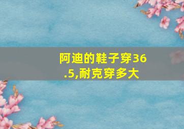 阿迪的鞋子穿36.5,耐克穿多大