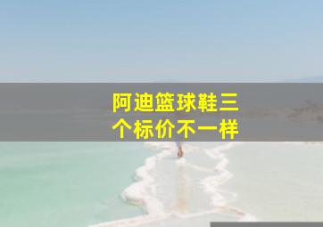 阿迪篮球鞋三个标价不一样