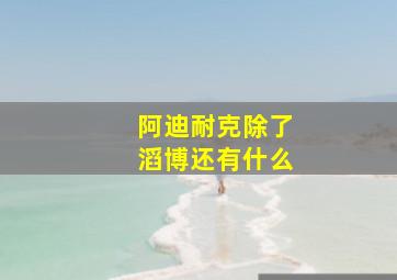 阿迪耐克除了滔博还有什么