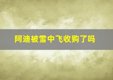 阿迪被雪中飞收购了吗