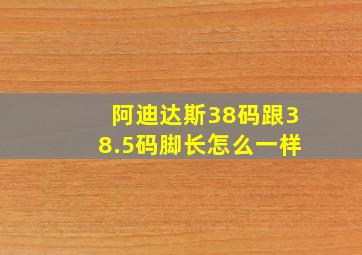 阿迪达斯38码跟38.5码脚长怎么一样