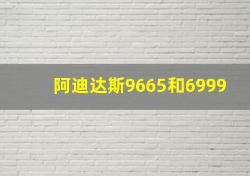 阿迪达斯9665和6999