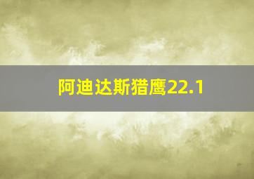 阿迪达斯猎鹰22.1