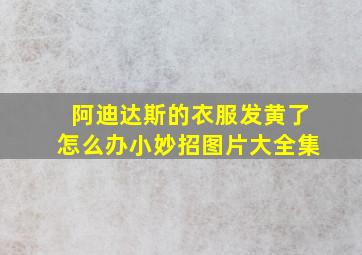 阿迪达斯的衣服发黄了怎么办小妙招图片大全集