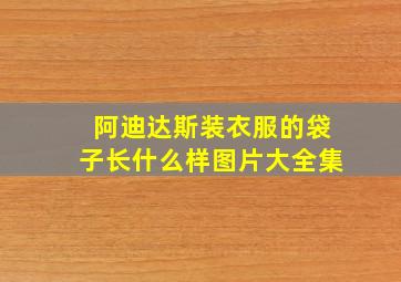 阿迪达斯装衣服的袋子长什么样图片大全集