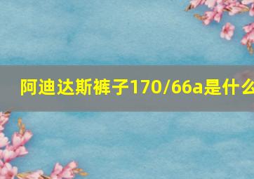 阿迪达斯裤子170/66a是什么