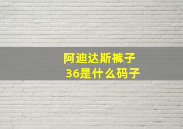 阿迪达斯裤子36是什么码子