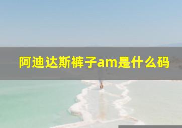 阿迪达斯裤子am是什么码