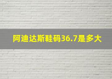 阿迪达斯鞋码36.7是多大