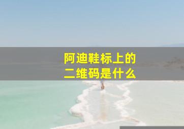 阿迪鞋标上的二维码是什么