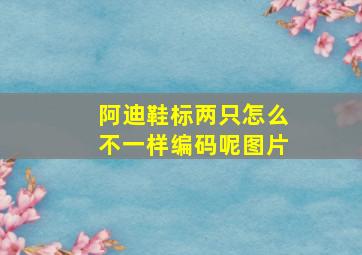 阿迪鞋标两只怎么不一样编码呢图片