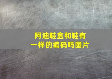 阿迪鞋盒和鞋有一样的编码吗图片