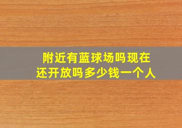 附近有蓝球场吗现在还开放吗多少钱一个人