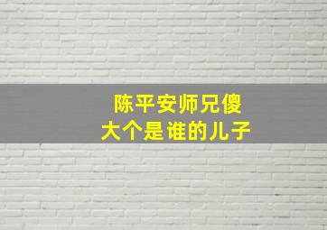 陈平安师兄傻大个是谁的儿子