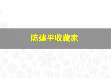 陈建平收藏家