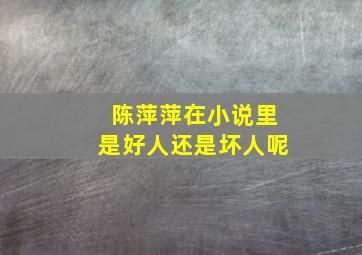 陈萍萍在小说里是好人还是坏人呢