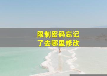 限制密码忘记了去哪里修改