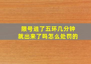 限号进了五环几分钟就出来了吗怎么处罚的