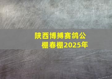 陕西博搏赛鸽公棚春棚2025年