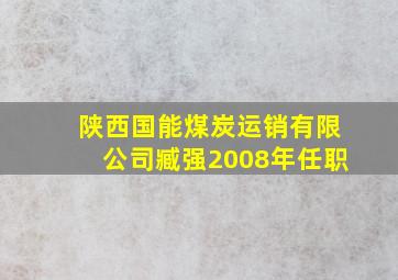 陕西国能煤炭运销有限公司臧强2008年任职