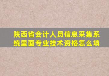 陕西省会计人员信息采集系统里面专业技术资格怎么填