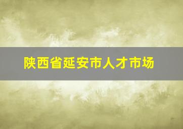 陕西省延安市人才市场