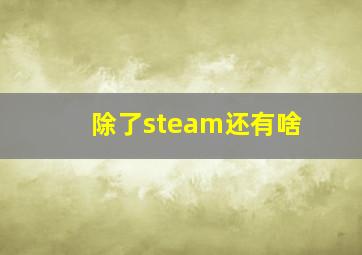 除了steam还有啥