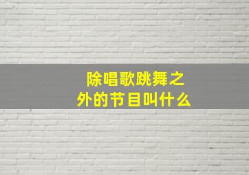 除唱歌跳舞之外的节目叫什么