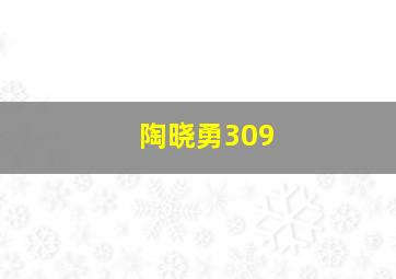 陶晓勇309