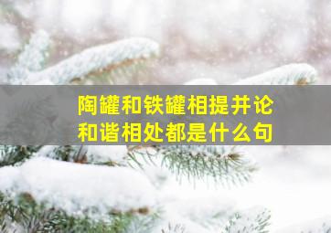 陶罐和铁罐相提并论和谐相处都是什么句