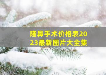 隆鼻手术价格表2023最新图片大全集