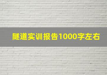 隧道实训报告1000字左右