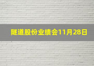 隧道股份业绩会11月28日